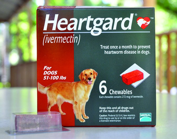 Heartguard heartworm treatment