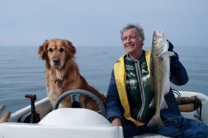 Cold liver oil for dogs offers many health benefts.