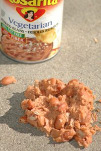 A pile of refried beans, containing some whole beans and mashed beans, simulates dog feces where undigested bits of food are present in the stool