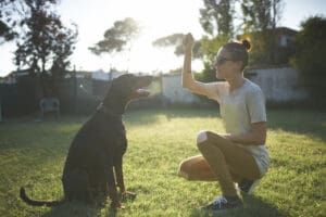 Reading canine body language is an important factor in understanding your dog.