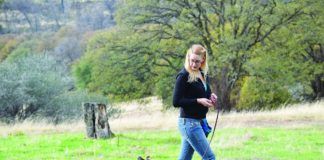 dog being walked