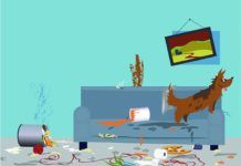 destructive dogs