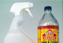 apple cider vinegar for dogs