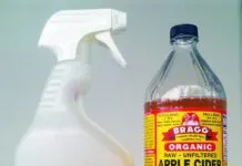 apple cider vinegar for dogs