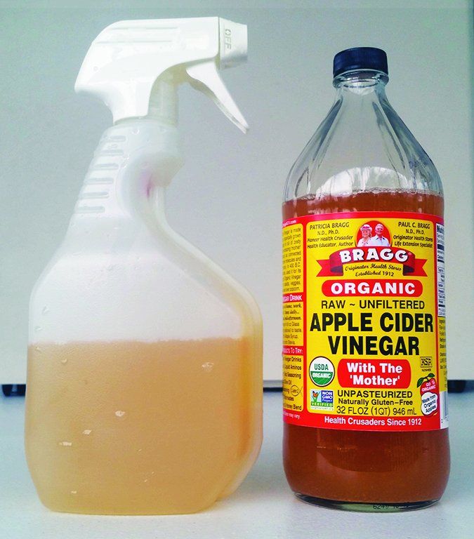 Apple Cider Vinegar for Dogs - Whole Dog Journal