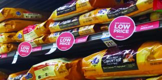 dry dog food
