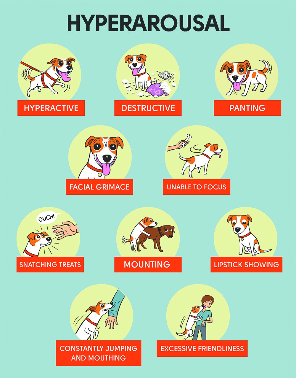 dog overarousal chart