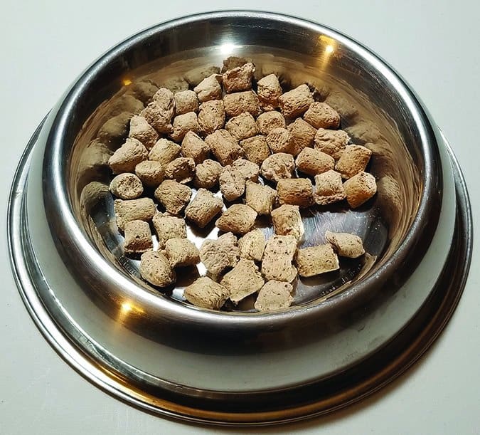 freeze dried dog food