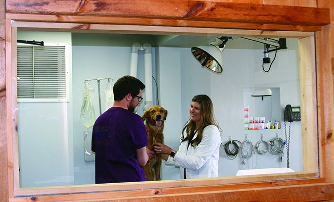 all about animals veterinary clinic