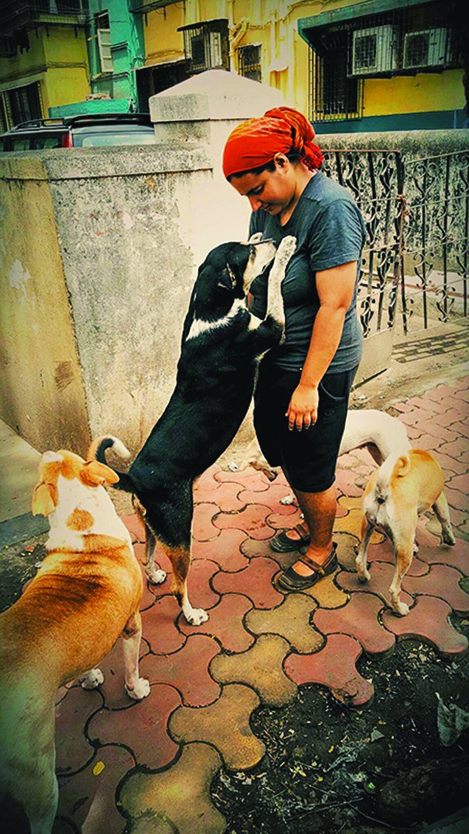 mumbai street dogs