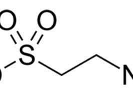 Taurine is a critical part of a dog's diet.