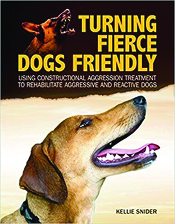 turning fierce dogs friendly