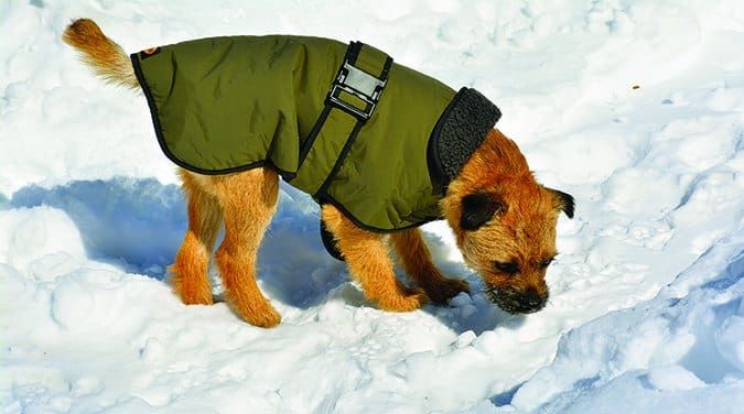 Toppa Pomppa Insulated Winter Dog Coats - Clean Run