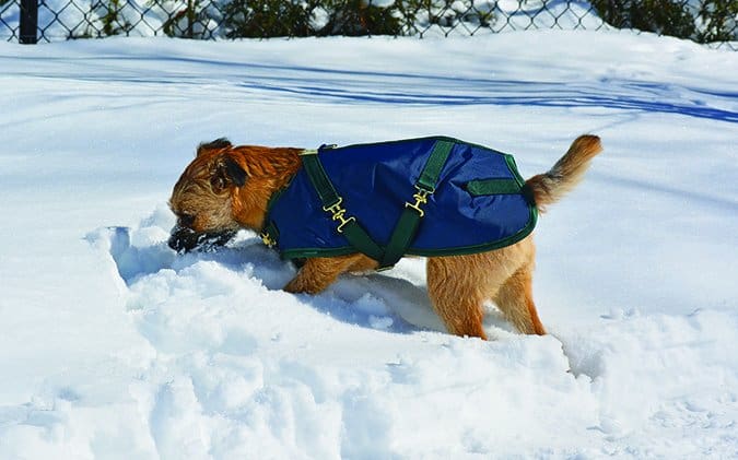 Foggy Mountain Nylon Turnout Coat