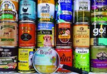 the best canned dog food