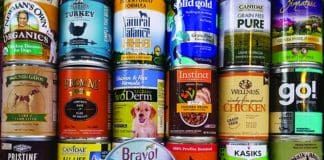 the best canned dog food