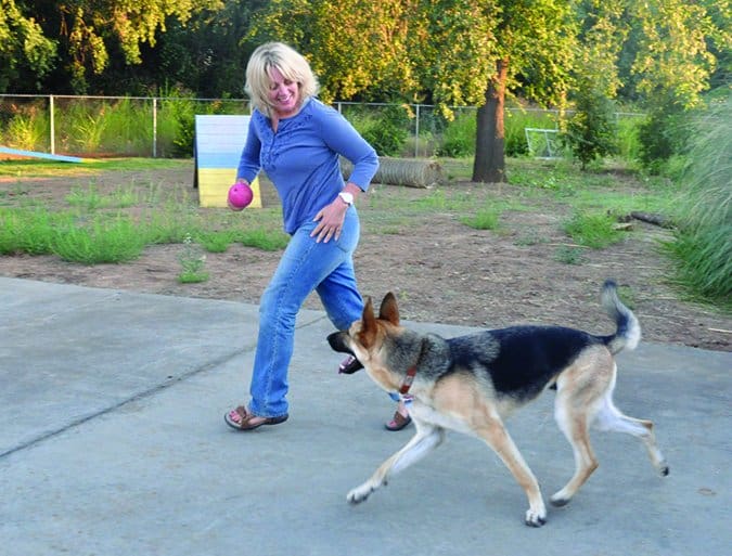 playing games with a dog