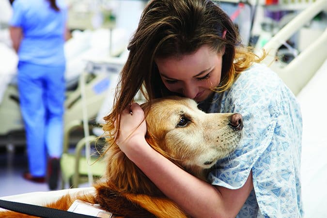 hospital therapy dog