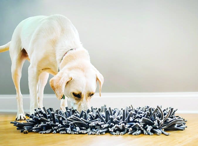 paw5 snuffle mat