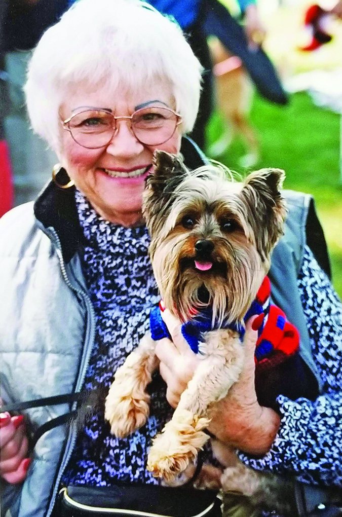 dogs for senior citizens