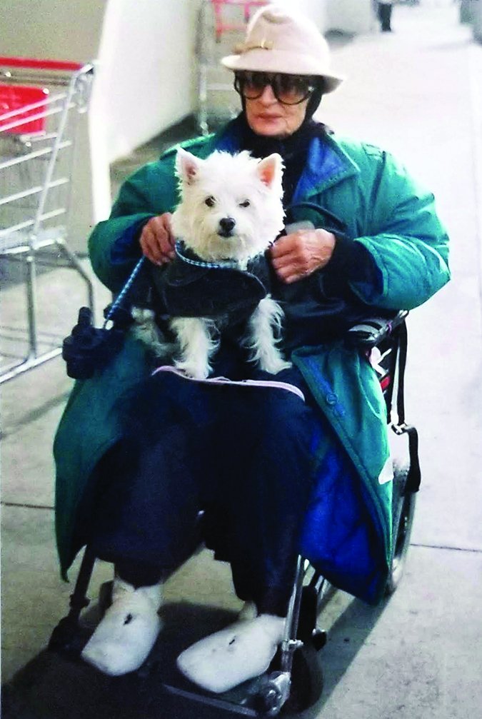 dogs for senior citizens