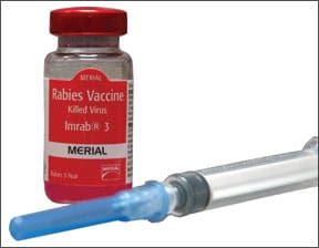 Rabies Vaccine