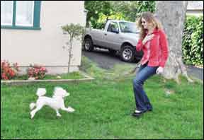 Training Hearing Impaired Dogs