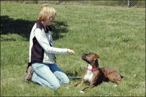 Fear-Free Dog Training Methods