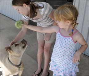 Teaching Bite Inhibition