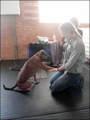 A dog sits in front of his owner and offers her his paw