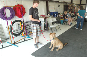 Training Classes for Adolescent Dogs