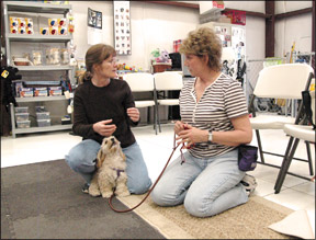 A dog trainer talking to a training client, who is holding her dog's leash
