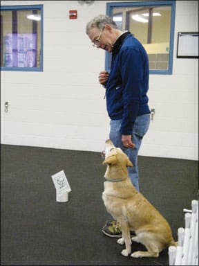 Rally Obedient Dogs