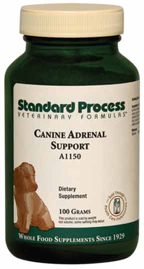 Addison’s Disease supplement for dogs