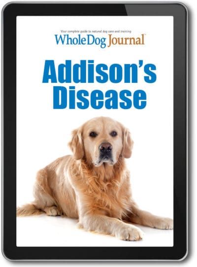 Addison's Disease