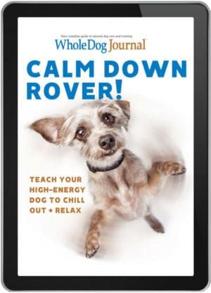 Calm Down Rover!