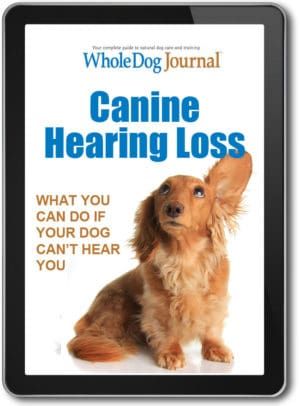Canine Hearing Loss