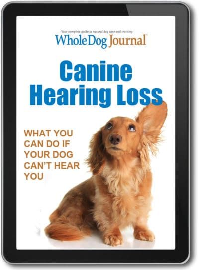 Canine Hearing Loss