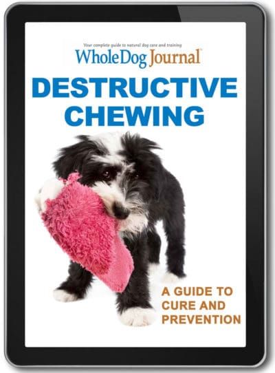 Destructive Chewing