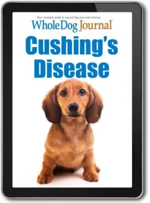 Cushing's Disease