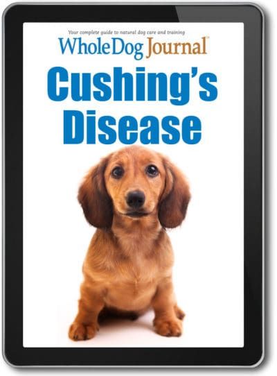 Cushing's Disease