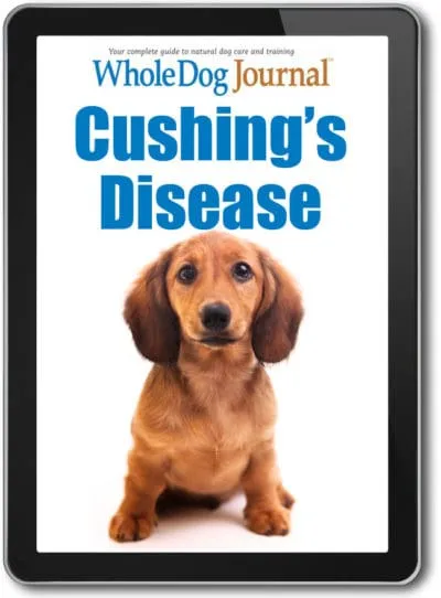 Cushing's Disease