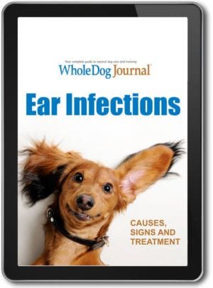 Ear Infections