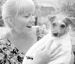 dog after bath