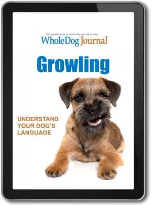 Growling - Understanding Your Dog's Language