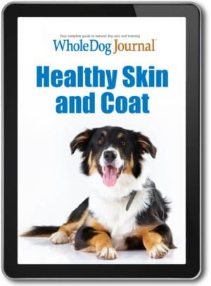 Healthy Skin & Coat
