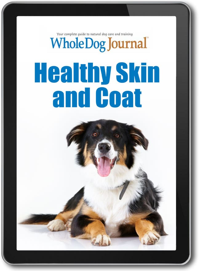 Healthy skin and hotsell coat for dogs
