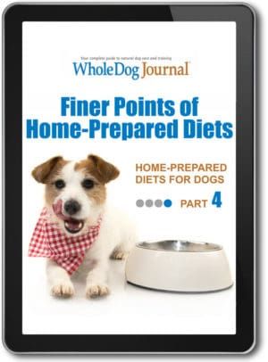 Home-Prepared Diets for Dogs, Part Four: The Finer Points of a Home-Prepared Diet