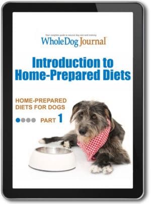 Home-Prepared Diets for Dogs, Part One: Introduction to Home-Prepared Diets