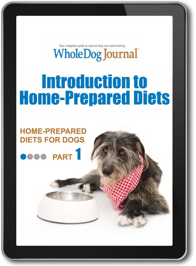 Canine Enrichment for the Real World Ebook - Whole Dog Journal